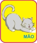 C4 Mao